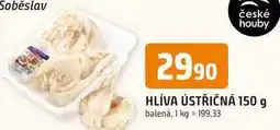 Trefa HLÍVA ÚSTŘIČNÁ 150 g balená nabídka