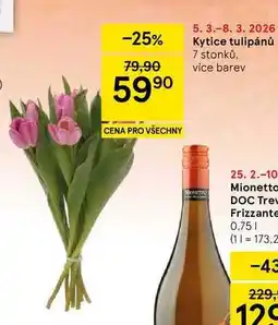 Tesco Kytice tulipánů, 7 stonků nabídka