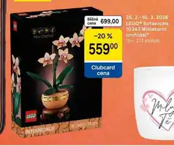 Tesco LEGO Botanicals 10343 Miniaturní orchidej nabídka