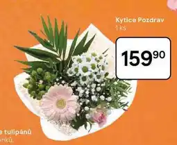 Tesco Kytice Pozdrav, 1 ks nabídka