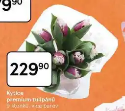 Tesco Kytice premium tulipánů, 9 stonku nabídka