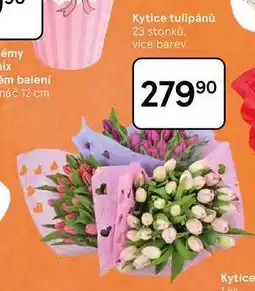Tesco Kytice tulipánů, 23 stonků nabídka