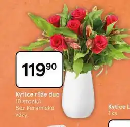 Tesco Kytice růže duo, 10 stonku nabídka
