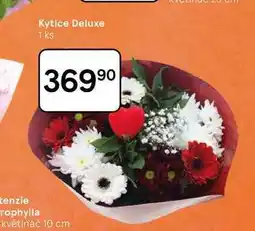 Tesco Kytice Deluxe, 1 ks nabídka