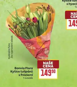 Billa Bonvia Flora Kytice tulipánů s fréziemi 1 svazek nabídka