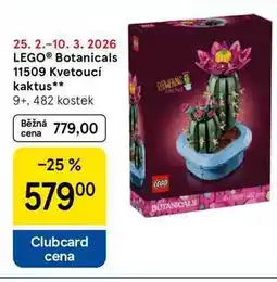 Tesco LEGO Botanicals 11509 Kvetoucí kaktus nabídka