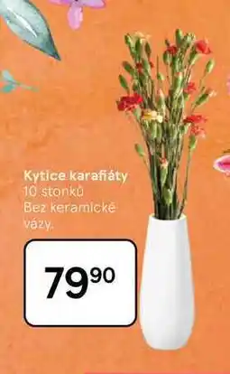 Tesco Kytice karafiáty, 10 stonků nabídka