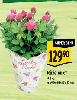 Albert Růže mix, pr. květináče 12 cm nabídka