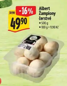 Albert Albert Žampiony čerstvé nabídka