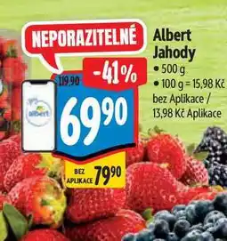 Albert Albert Jahody nabídka