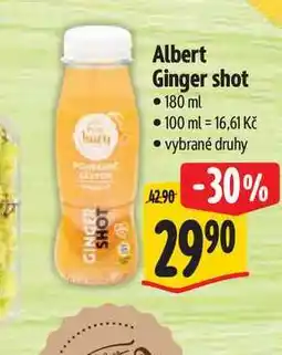 Albert Albert Ginger shot nabídka