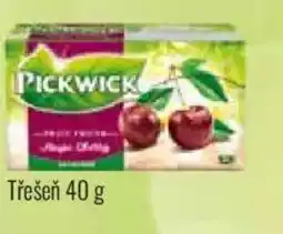 Ratio Pickwick Třešeň nabídka