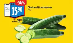 Albert Okurka salátová hadovka nabídka