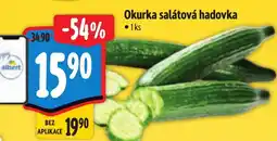 Albert Okurka salátová hadovka nabídka