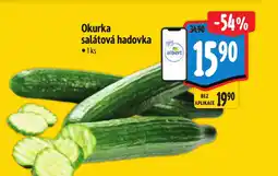 Albert Okurka salátová hadovka nabídka