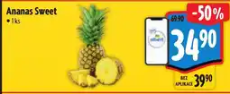 Albert Ananas Sweet nabídka