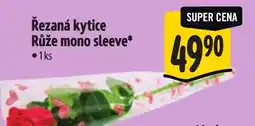 Albert Řezaná kytice Růže mono sleeve nabídka