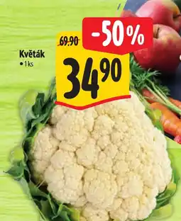 Albert Květák nabídka