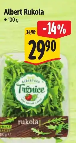 Albert Albert Rukola nabídka