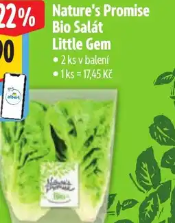 Albert Nature's Promise Bio Salát Little Gem nabídka