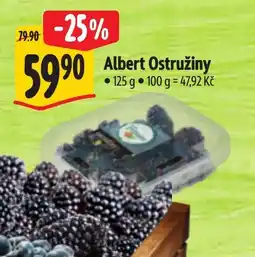Albert Albert Ostružiny nabídka