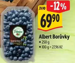 Albert Albert Borůvky nabídka