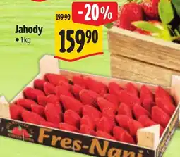 Albert Jahody nabídka