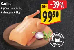 Albert Kachna nabídka