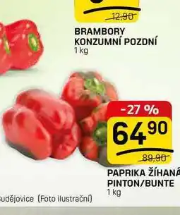 Flop PAPRIKA ŽÍHANA PINTON/BUNTE nabídka