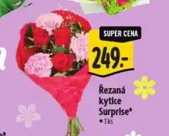 Albert Řezaná kytice surprise nabídka