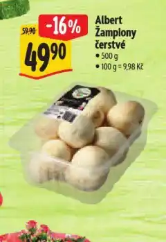 Albert Žampiony čerstvé nabídka