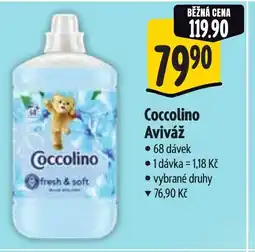 Albert Coccolino Aviváž nabídka