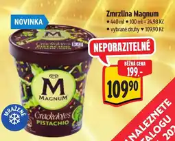 Albert Zmrzlina Magnum nabídka