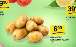 Flop BRAMBORY KONZUMNÍ POZDNÍ nabídka