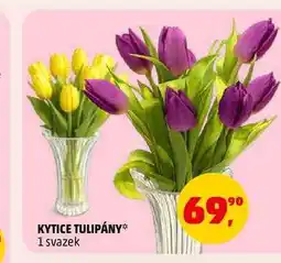 Penny Market KYTICE TULIPÁNY, 1 svazek nabídka