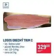 Makro LOSOS OBECNÝ TRIM C nabídka