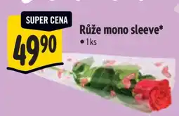 Albert Růže mono sleeve nabídka