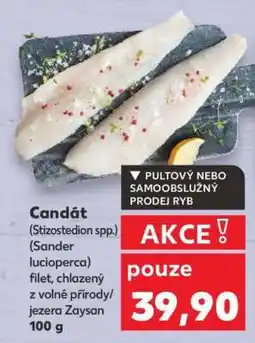 Kaufland Candát – filet nabídka