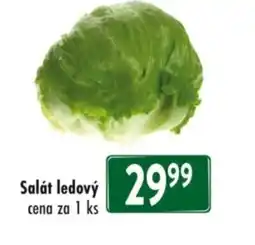 Qanto Salát ledový nabídka