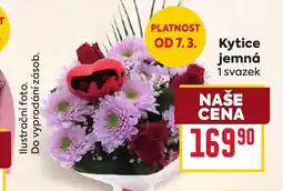 Billa Kytice jemná nabídka