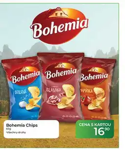 Tamda Foods Bohemia Chips nabídka