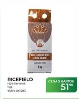 Tamda Foods RICEFIELD ryze červená nabídka