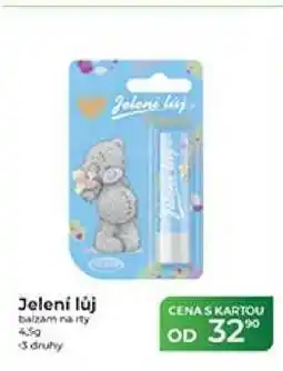 Tamda Foods Jelení lůj balzám na rty nabídka