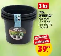 Penny Market SADA KVĚTINÁČŮ, 3 ks nabídka