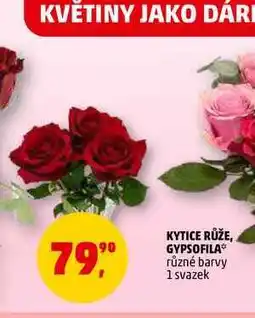 Penny Market KYTICE RŮŽE, 1 svazek nabídka
