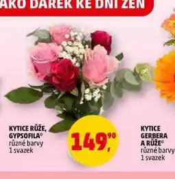 Penny Market KYTICE GYPSOFILA, 1 svazek nabídka