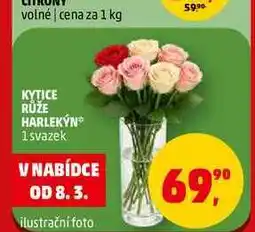 Penny Market KYTICE RŮŽE HARLEKÝN, 1 svazek nabídka
