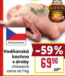 Billa Vodňanská kachna s droby nabídka