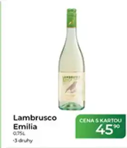 Tamda Foods Lambrusco Emilia nabídka