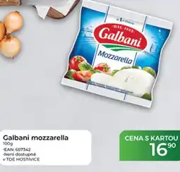Tamda Foods Galbani Mozzarella nabídka